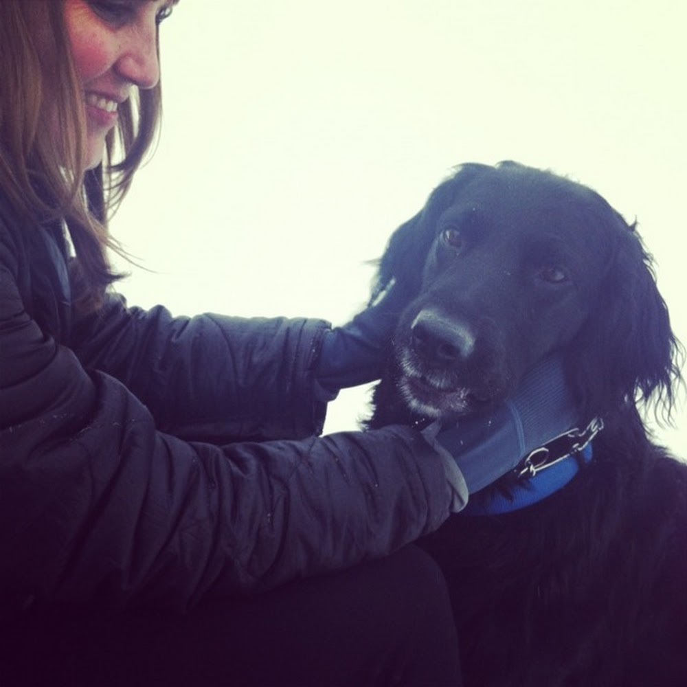 Meet your Posher, Chelsea